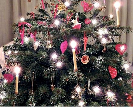 The Tannenbaum Tannenbaum is the German word for Christmas tree. Germany is credited with starting the Christmas tree tradition as we now know it.