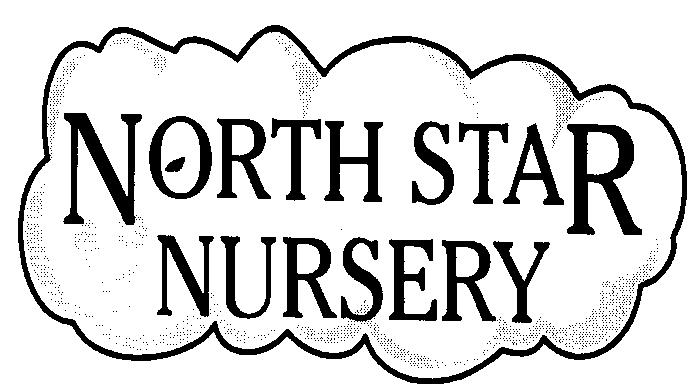 NORTH STAR NURSERY AND HOLIDAY CLUB SUN PROTECTION POLICY North Star Nursery has consulted Cancer Research UK`s Sun Protection Policy Guidelines for Nurseries and Pre-Schools and Early Years