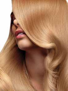 For added volume apply Silk Oil of Morocco Argan Liquid Volumizer after