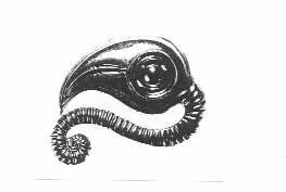 shape of a bird s head from the Oxus