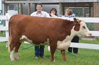 WEAVER L8 GRANDVIEW SOUTHRN CROSS VCH DREAM DANCER 10G No EPDs Available This one-year-old open heifer is out of ASF Ansley 5y, a long-sided, full-bodied graceful cow.