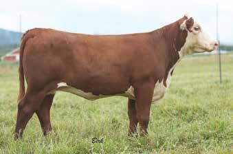 F 4007 Beef 7016 from June 1 to October 1, 2018. Co