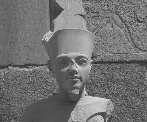ASCENT TO THE THRONE 77 Figure 10 Tutankhamun as Amun. Karnak Temple. Photograph courtesy of Dave Thompson. name could be given.