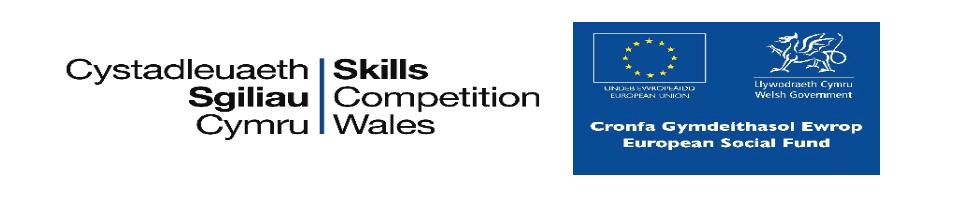 Form B Competition Brief Competition title and level Welsh Skills Hairdressing Competition Pre UK Skills National Competition Activity Regional Heats Entry requirements This competition is open to