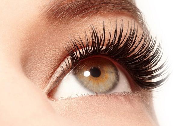 Eye Treatments Eyelash Tint... 12.00 Eyebrow Tint... 9.00 Lash & Brow Tint... 16.00 Brow Tint & Shape... 14.00 We require a patch test 24-48 hours before your tint treatment.