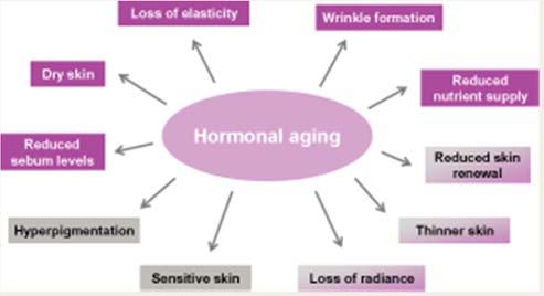Figure 1 summarizes the effects which are influenced by hormonal aging.