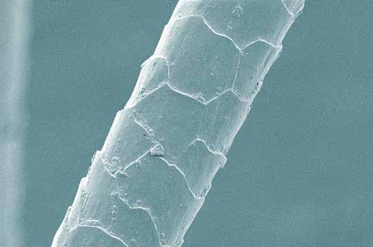 When viewed under an electron microscope, TENCEL Lyocell fibers exhibit a