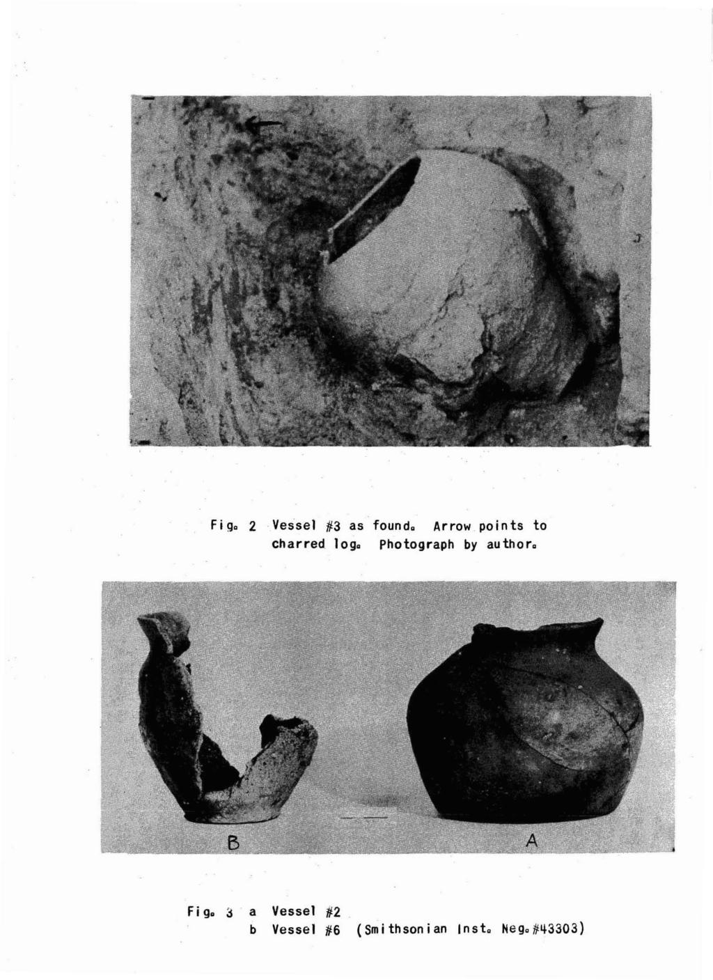 Fig. 2 Vessel #3 as found. Arrow points to charred. log.