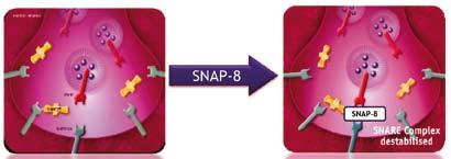 SNAP-8: The effect of injections without the risks SNAP-8 is produced by biotechnology.