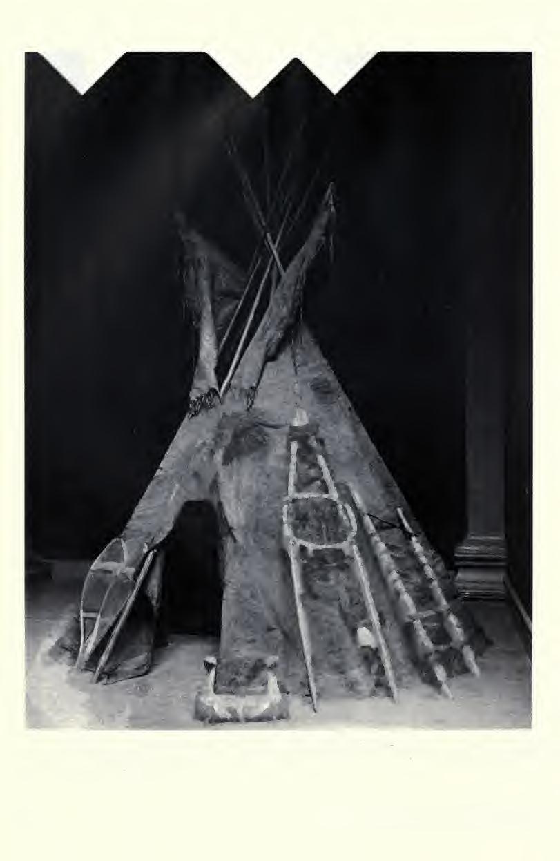 Plains Cree tipi ( 1 4995) on exhibit at the