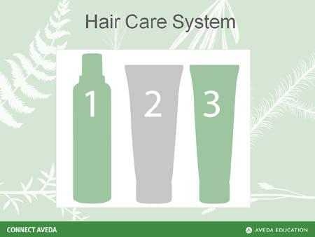Educator Guide Hair Care Product Knowledge and Service Tools Hair Care Chart Helps you record product recommendations for guests to take home Slide 4 Page 51 Direct learners to the Connect Aveda