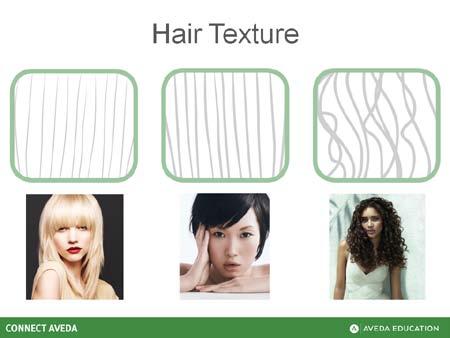 Hair Care Understanding Hair Educator Guide cortex Medulla Inner-most layer of hair Function unknown Slide 9