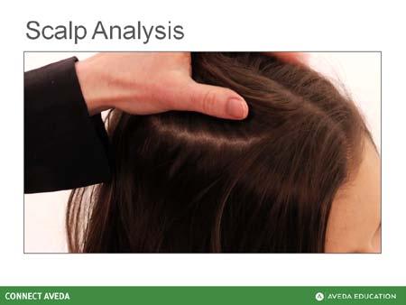 Hair Care Discover Needs Educator Guide Slide 16 Page 55 Direct learners to the Connect Aveda Participant Workbook. Scalp Analysis Watch me as I demonstrate how to perform the scalp analysis.