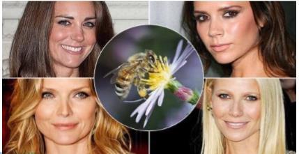 Bee Venom Facial Calling all beauty therapists and salon owners!! Bee Venom Facial is here!