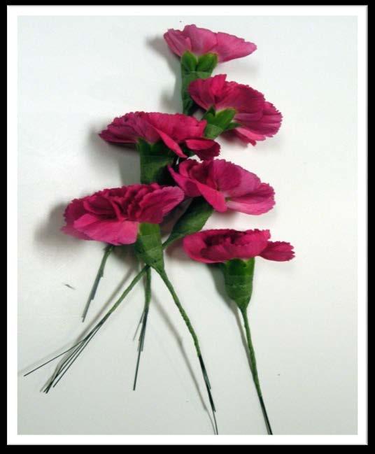 color to the calyx and stem of the miniature carnation,