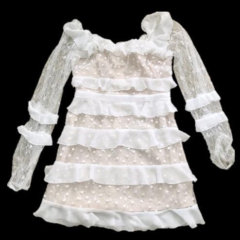 swiss dot lace and ruffled mini party dress with nude slip was chosen. The criteria for selecting a dress was price followed by design elements.