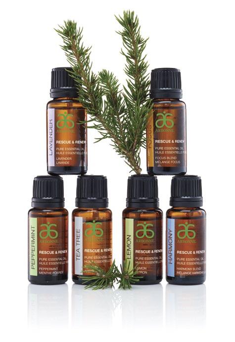 RESCUE & RENEW PURE ESSENTIAL OIL SET Set includes Lemon, Lavender, Peppermint, and Tea Tree single note Pure Essential Oils, plus Harmony and Focus Pure Essential Oil Blends Use for an overall sense