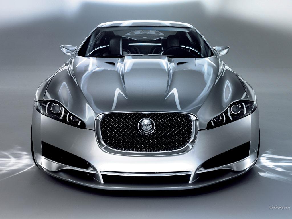 Jaguar - Rising Star.