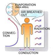 Heat Balance Equation General heat balance S = M - W - E - (R + C) where S = rate of heat storage of human body M = metabolic rate