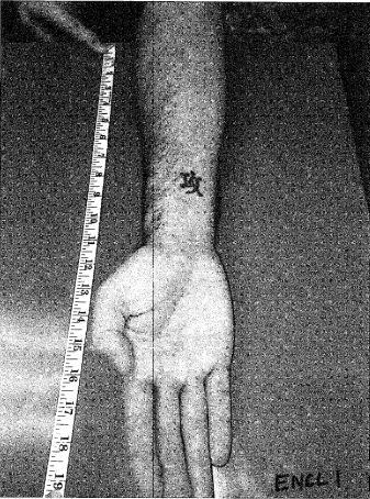 22 EXAMPLE TATTOO PHOTO FOR AMHRR Photos must be taken using a ruler, the tattoo(s) must be clear and visible and described on the memorandum - sample available