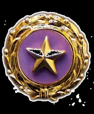 GOLD STAR AND NEXT OF KIN LAPEL BUTTONS Soldiers who are