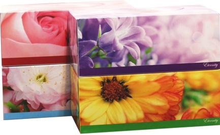 TISSUE PAPERS ETERNITY 2 PLY FACIAL TISSUE Price: $0.