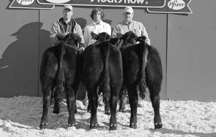 Saturday, March 1, 2007 at 12:00 Noon Potterosa Limousin Pen of Three WDA:.22 Height: 49.2 Frame:.2 Scrotal: 1.5 FT:.24 A: 15.2 s proudly offers our Denver Pen of Three for sale as Lots 1, 2 &! 1.0 47 7 21.