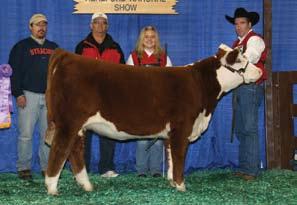Both were bred AI to H Easy Deal 609 on April 18, 2009. Pasture exposed May 1 to Sept. 1, 2009 to DeLHawk JTH Flex R28.