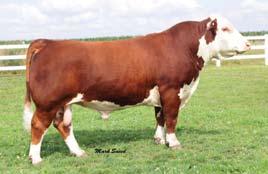 Reference Sires Ref. A Sire CH ENUFF PROPHET 2913 42314202 Calved: Sept.
