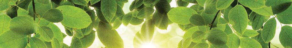 GREEN POWER ELITE BIO Enzyme Cleanser PRO Exfoliating Cleanser Vita-Brite Refresher Green Power