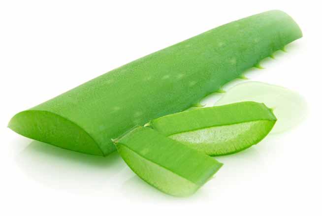 ALOE VERA The 100% Aloe Vera juice, extracted from the pulp of carefully selected leaves, has a soothing effect on the scalp, relieving irritations.