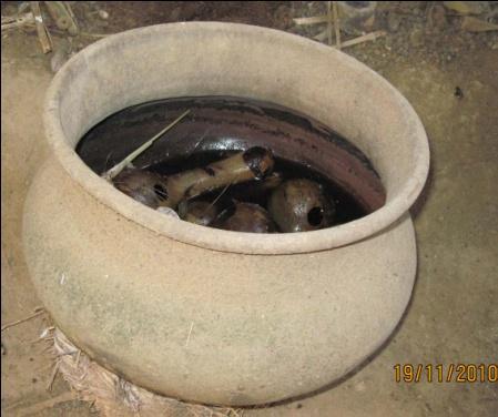3 e Chaduk Pottery type: Culinary Bowl Local