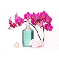 Natural Fragrance Design Perfume should not be a