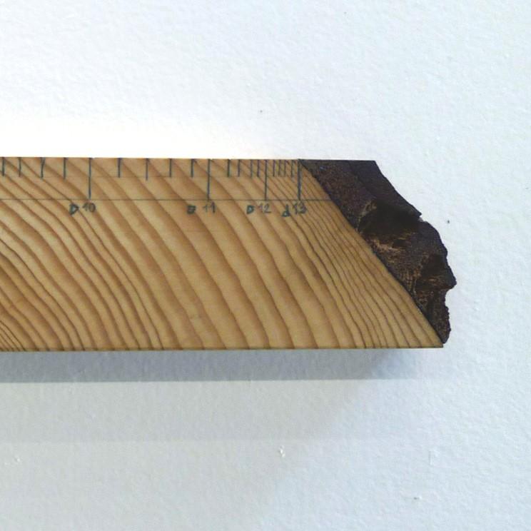 Ruler documenta (13), 2012 pine wood (18 pieces),