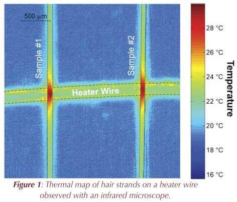 6 Identification of this need and the lack of solutions led to an effort to better understand how heat behaves in human hair.