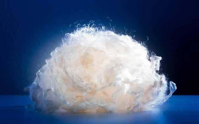 Infinited Fiber Company Infinited Fiber Company developed a fibre that can circulate forever What? Infinited Fiber Company aims to replace cotton with their new fibre.