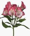 SOLID BUNCHES Stems 4 WET Pack 10 ITEM #