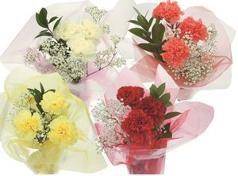 JUST FOR YOU EVERYDAY ESSENTIALS MARCH 2019 JUST FOR YOU BOUQUET 5 Stems WET Pack 12 ITEM # EP0755 UPC#