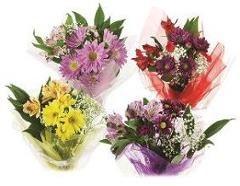 ! JUST FOR YOU COMBO BOX 3 ROSES 3 BOUQUETS 2 CARNATIONS ASST COLORS WET Pack 8 ITEM # EP0881 UPC#