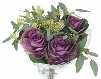 Available February May 3STEMS asst colors DRYPACK