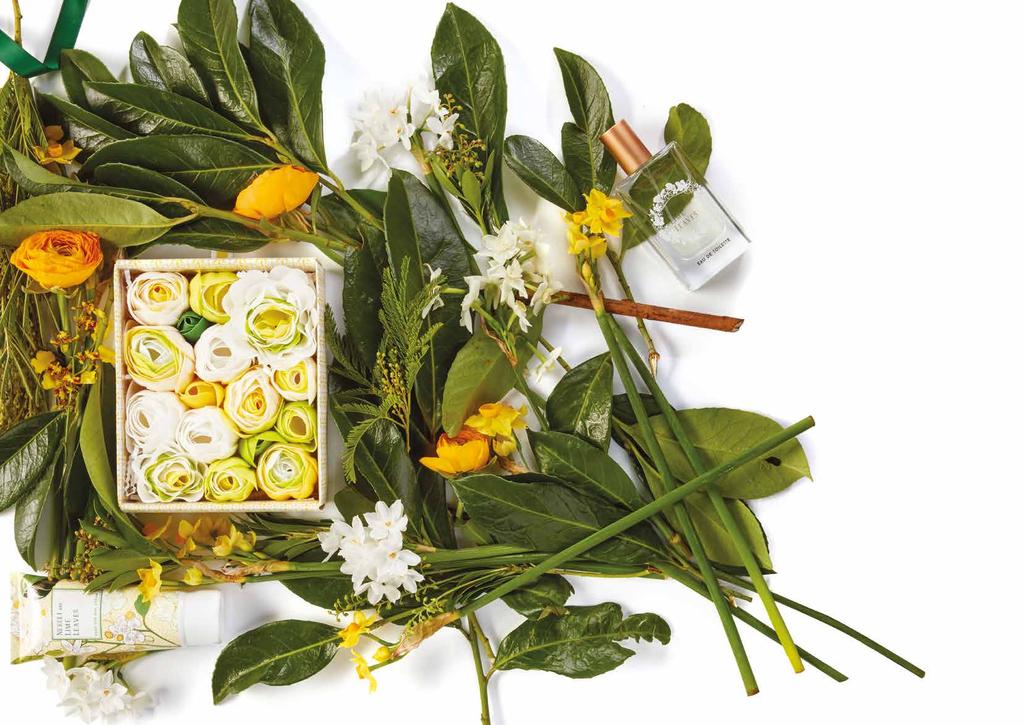 Sunshine in a Bottle Neroli carries the scents of wellbeing Sunny flowers of Neroli entwined with fresh Lime leaves and white blossoms, precious woods, sweet amber and rich musk; both powerful and