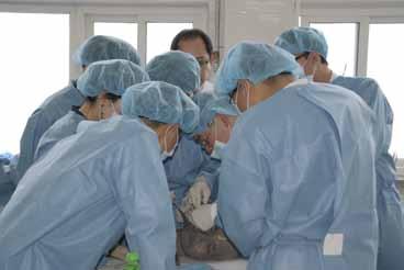한국미용외과의학회 안면미용수술카데바워크숍 한국미용외과의학회가이번워크숍은안면미용수술에필요한해부학에서부터 Blepharoplasty, Rhinoplasty, face lifting의이론과테크닉을연마할수있도록짜임새있게구성했습니다. 해당분야의경험많은강사들이강의하는세미나와카데바시연에이어참가자들이직접카데바실습을하게됩니다.
