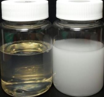 Solubility Compare with Tea Tree Oil BCX-CA is