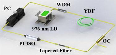 fiber. Compared with the mechanical exfoliated method, the one had the advantages of effective interaction between the laser and the BP material and a high damage threshold.