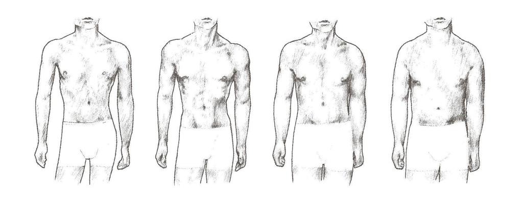 Male body shapes For the development of the basic fitting blocks our