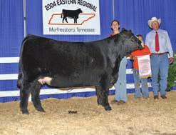 This heifer s Dam is Kriegers Mary who is out of the Kriegers Mary-Kate, a Simmental female who won multiple Bred and Owned shows in her showing career. Don t overlook this heifer.