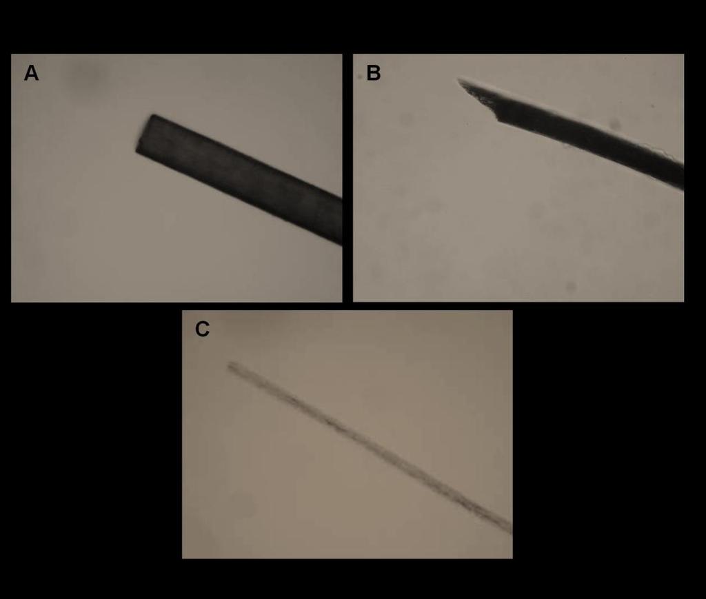 even glass leave distinctive patterns on the tip edge (Figure 6) 2.