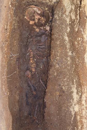 It contained the relatively well preserved bones of an infant, buried without a coffin. The left side of the skeleton had been slightly damaged by troweling.