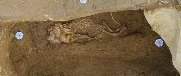 It contained a coffin and the wellpreserved skeleton of an adult and a coffin. The individual had been placed on their back, left arm down by the side but the right arm flexed over the pelvis.