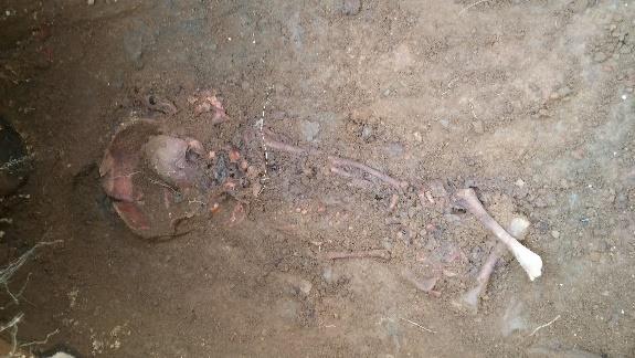 placed near the head end of grave 28, but exact location could not be determined further. Grave 47 Figure 37. Infant skeleton in grave 47, dug under the cemetery wall.